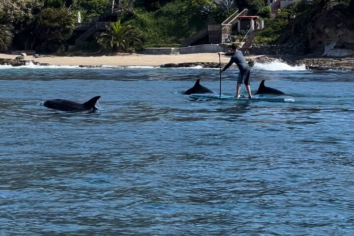 Laguna Beach Stand Up Paddle Activity - Photo 1 of 4